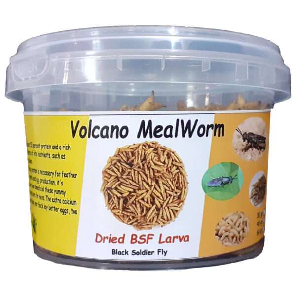 094b8a39d4d50d5640925372f102e3fa2b095dfb_1618597553 غذای خشک حیوانات ولکانو میلورم مدل لارو مگس سرباز کد BSF45 وزن 45 گرم - تصویر 1