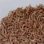 غذای خشک حیوانات ولکانو میلورم کد MWB80 وزن 80 گرم - تصویر 3