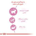 غذای خشک گربه رویال کنین مدل کیتن وزن 2 کیلوگرم - تصویر 9