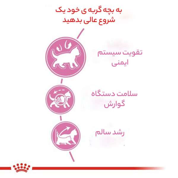 غذای خشک گربه رویال کنین مدل کیتن وزن 2 کیلوگرم - تصویر 9