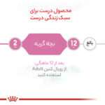 غذای خشک گربه رویال کنین مدل کیتن وزن 2 کیلوگرم - تصویر 8