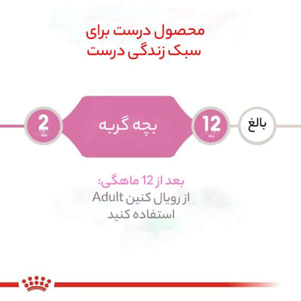 غذای خشک گربه رویال کنین مدل sterilised وزن 2 کیلوگرم - تصویر 7