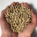 غذای خشک خرگوش و خوکچه هندی مدل پلت با طعم جعفری وزن 1000 گرم - تصویر 3