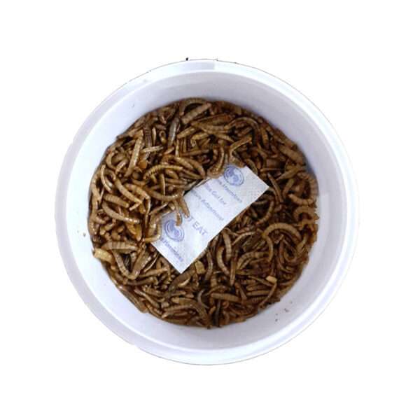 غذای خشک حیوانات ولکانو میلورم کد MW65 وزن 0.065 کیلوگرم - تصویر 2