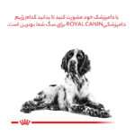 غذای خشک سگ رویال کنین مدل Hypoallergenic وزن 2 کیلوگرم - تصویر 14