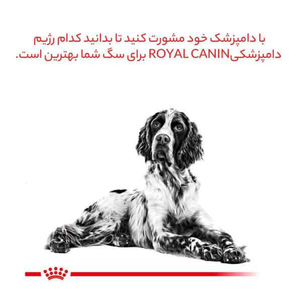 غذای خشک سگ رویال کنین مدل Hypoallergenic وزن 2 کیلوگرم - تصویر 14
