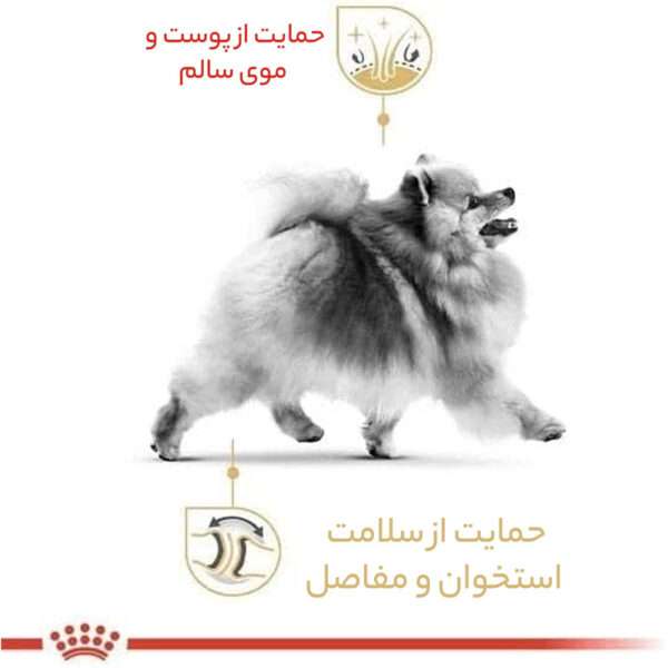 غذای خشک سگ رویال کنین مدل pomeranian وزن 1.5 کیلوگرم - تصویر 7