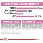 غذای خشک گربه رویال کنین مدل کیتن وزن 2 کیلوگرم - تصویر 2