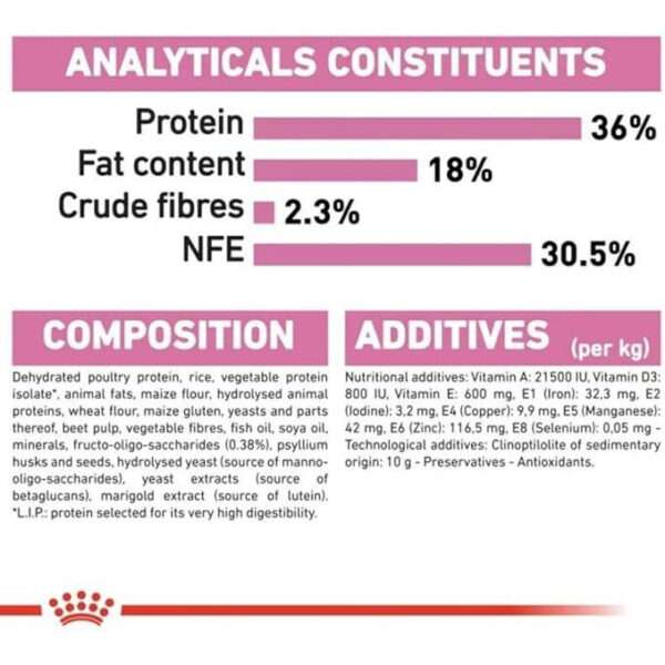 غذای خشک گربه رویال کنین مدل کیتن وزن 2 کیلوگرم - تصویر 2
