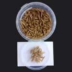 غذای خشک حیوانات ولکانو میلورم مدل لارو مگس سرباز کد BSF45 وزن 45 گرم - تصویر 3