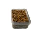 غذای پرنده مدل کرم میلورم خشک کد 070 وزن 70 گرم