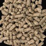 غذای خشک خرگوش و خوکچه هندی مدل پلت وزن 1000 گرم - تصویر 2