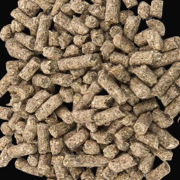 غذای خشک خرگوش و خوکچه هندی مدل پلت وزن 1000 گرم - تصویر 2