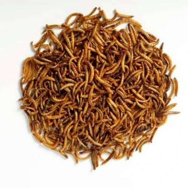 غذای خشک حیوانات مدل میلورم کد 08 وزن 400 گرم - تصویر 2