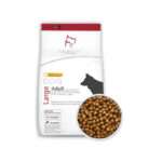 غذای خشک سگ سلبن مدل 10 large adult وزن 10 کیلوگرم - تصویر 2