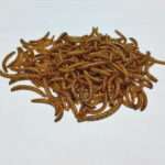 غذای خشک پرندگان مدل میلورم کد 01 وزن 100 گرم - تصویر 2