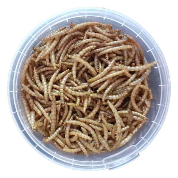 غذای خشک حیوانات ولکانو میلورم کد MWB80 وزن 80 گرم - تصویر 2