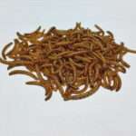 غذای خشک پرندگان مدل میلورم کد 02 وزن 50 گرم - تصویر 2