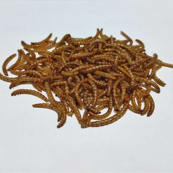 غذای خشک پرندگان مدل میلورم کد 02 وزن 50 گرم - تصویر 2