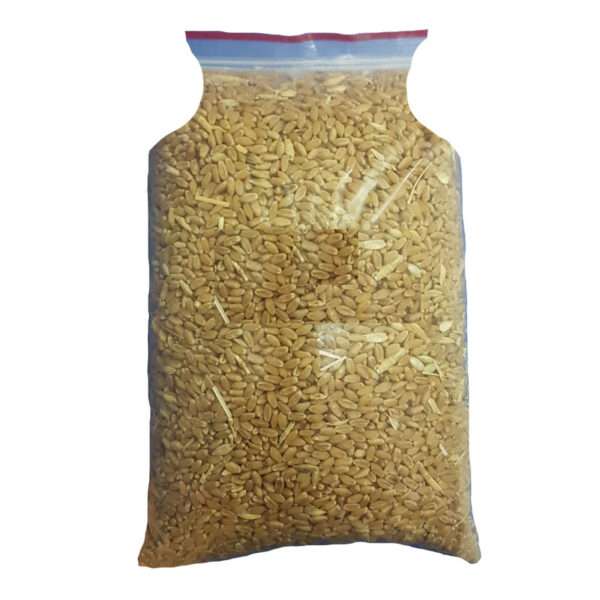 f4641b64e38b74a22462ed6d67c8c22470fbfcab_1679035048 غذای پرندگان مدل گندم مرغی وزن 2 کیلوگرم - تصویر 1